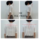 우브필라테스 이미지