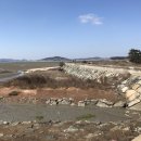 싱싱축산마을 이미지