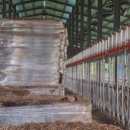 한우사육축사 이미지