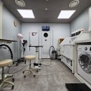 펫실장 광장점 이미지