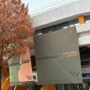 파킹찬스 시네마 토크 | 2025 우즈 콘서트 후기 / WOODZ PREVIEW CONCERT : index_00 / 스탠딩 X구역 / 첫 스탠딩 • 첫 혼콘