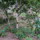 엘 농장 이미지