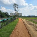 호수정원 이미지