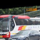 팔룡동212 이미지