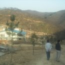 병호농장 Daum카페
