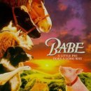 특별하개 이미지