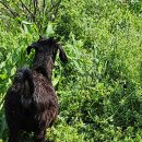 완도농장 이미지