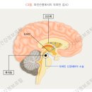 자애요양병원