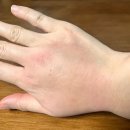 오두막 | 무봉산자연휴양림 부대시설 오두막 후기 (feat. 오두막 변경 정보 및 바베큐테이블)