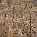 꽃향기어린이집 이미지