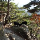 만기농장 이미지