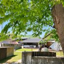 상주한옥 | 남해 카페] 남해촌집 화소반 ☕상주 은모래비치 인근 한옥카페 내돈내산 솔직 후기✨ | 남해 3박 4일 여행기