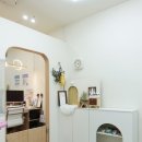 룰루 애견샵 이미지