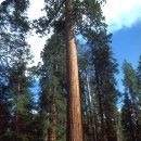 (주)큰나무 이미지