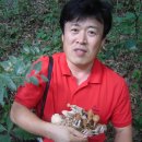 불당골2 Daum카페