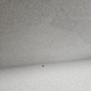 호계정수기 이미지