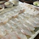 총각수산153 | 맛집 블로거가 서이추를 걸어서 간만에 올려보는 맛집 후기: 총각수산153 (도곡동)