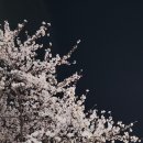 CU 역삼벚꽃길점 이미지