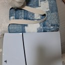 달성공원로 이미지