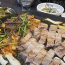 돼지냉꽃삼