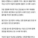 훼손된 고양이 사체·바늘 간식…울산서 동물학대 잇달아 (혐짤 없으니 괜찮) 이미지