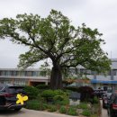 청하면행정복지센터 이미지