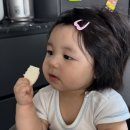 하루 이미지