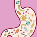 킹 휘트니스 이미지