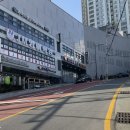 대디동물병원 이미지