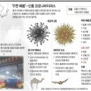 가야스파벨리 네이버블로그