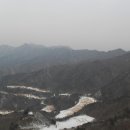 감나무식당 이미지