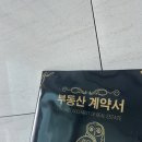 샵두꺼비 | [W09. 대구 신혼집 결정 및 계약 후기(부제: 두꺼비도 집게도 집이 있는데)](신혼집 매매? 전세? 월세...