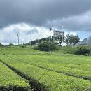 공천포 포구 이미지