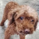 매산동길 이미지