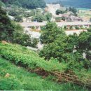 외암초등학교 이미지