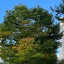 은파호수공원 9-6 이미지