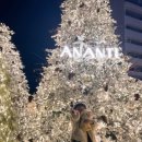 빌라쥬 드 아난티 코너모비딕 마켓 이미지