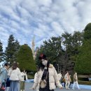 허니드리밍 이미지