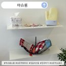 11305-15-722-1 | 귀여운 소품이 가득한 보문역소품샵 마슈룸 쇼룸 방문 후기 집들이선물 추천
