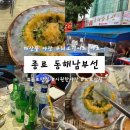 (주)동해우리마트 | [종로 노포 맛집] 해산물야장 무늬오징어회낮술 제대로 동해남부선 내돈내산 후기