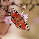 달서구청 우측 이미지