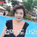 윤미라 카카오 검색결과