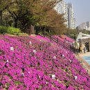 중랑천 연합뉴스