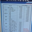 CSH커피 | 대난지도 캠핑의 추억 (맛집의 추억)