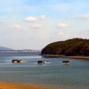 안면도 당구클럽 이미지