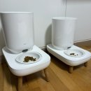 더플러스 | 두잇 자동 급식기 더 테이블 플러스 내돈내산 후기｜두 대 사용한 집사의 솔직 리뷰