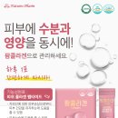 피부에봄이오다