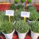 오리역.하나로마트 이미지