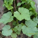 무지개횟집 이미지