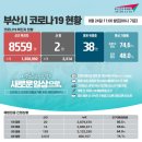 <b>코로나</b><b>19</b> 부산시(각 구별) <b>코로나</b><b>19</b> 환자 <b>현황</b> 및...